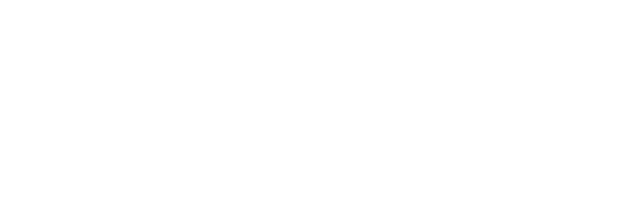 Viking-Logo-white